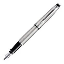 Waterman Expert Stainless Steel PT Fountain Pen